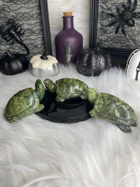 Two Twisted Souls  Crystals Jade Turtle Random Pick Listing Is For ONE Turtle