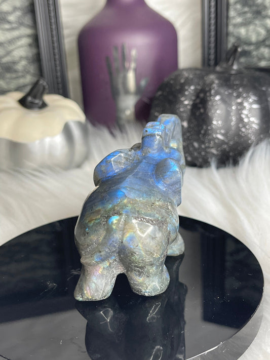 Two Twisted Souls  Crystals Labradorite Elephant with blue flash G