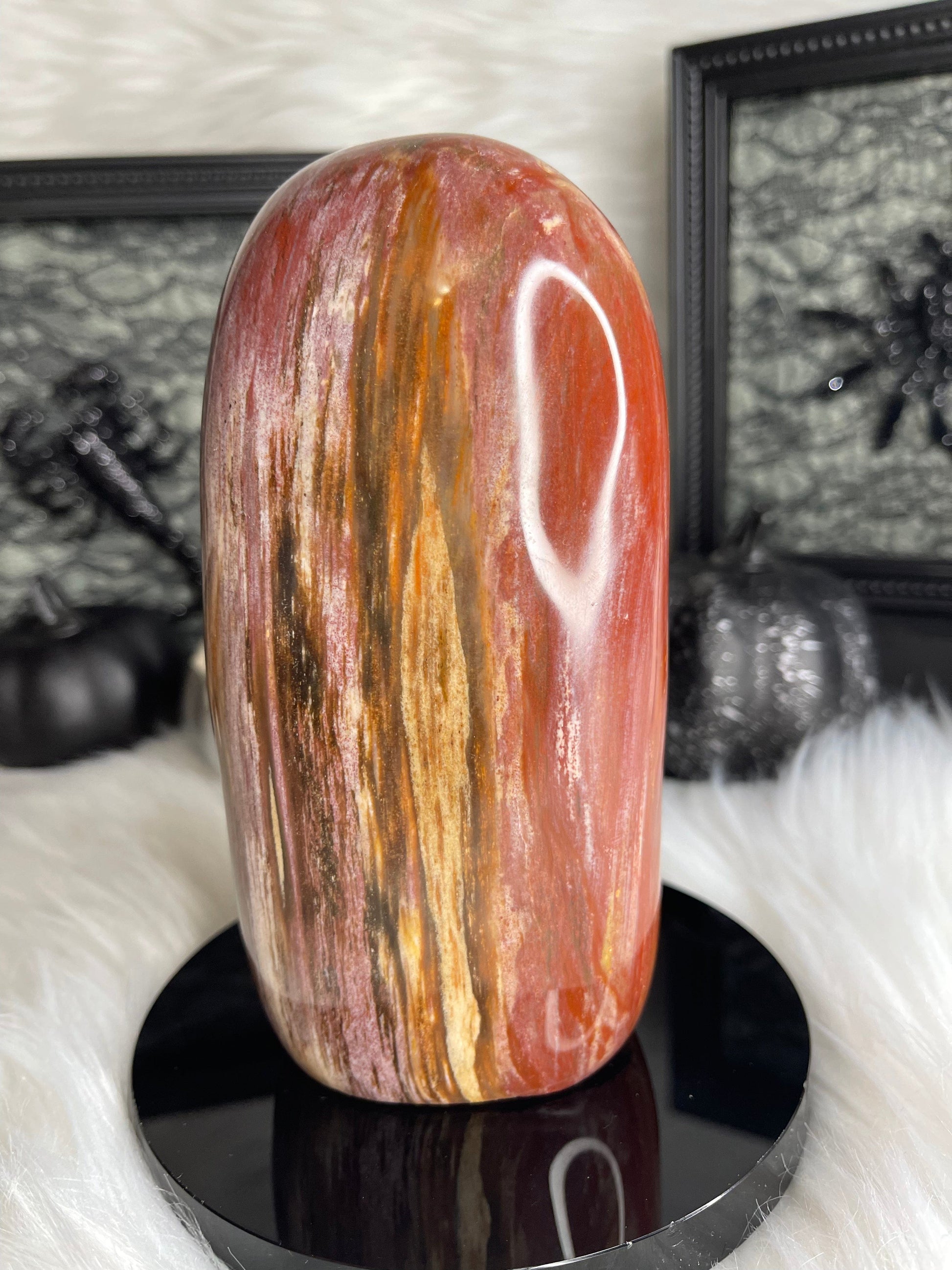 Two Twisted Souls  Crystals Petrified Wood Freeform